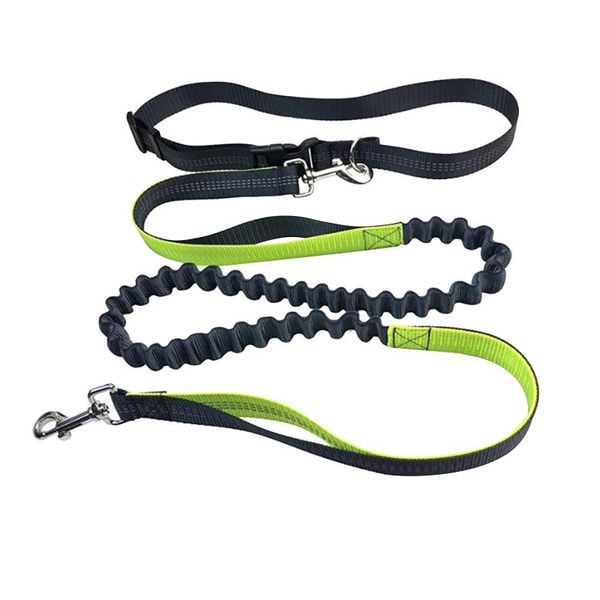 dog belt for running, walking and hiking, durable, double handle, reflective sut leashes belts small medium large collars &
dog belt for running, walking and hiking, durable, double handle, reflective sut leashes belts small medium large collars &