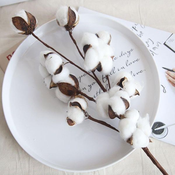 decorative flowers & wreaths about 40cm10 head naturally dried fake cotton flower artificial plants for diy craft pography props home weddin
decorative flowers & wreaths about 40cm10 head naturally dried fake cotton flower artificial plants for diy craft pography props home weddin