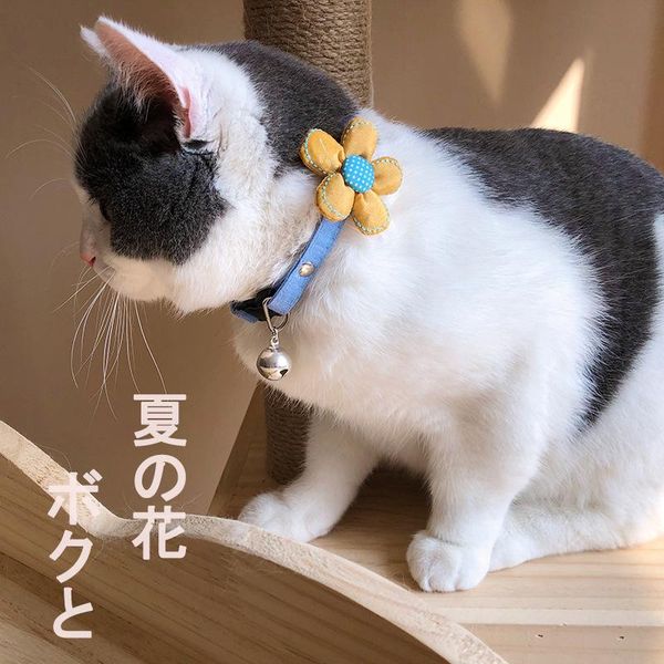 pet collar accessories dog necklace cat bell can be adjusted costumes
pet collar accessories dog necklace cat bell can be adjusted costumes