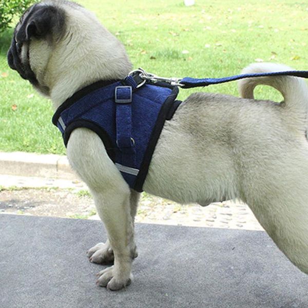 dog collars & leashes harness leash set adjustable breathable cat collar vest for puppy pet chihuahua chest strap accessories
dog collars & leashes harness leash set adjustable breathable cat collar vest for puppy pet chihuahua chest strap accessories
