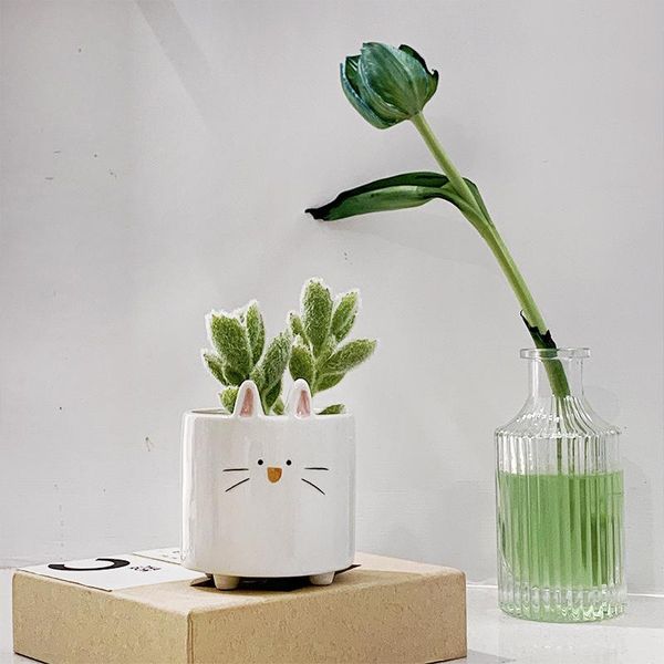 decorative objects & figurines animal ceramic flowerpot ornaments living room bedroom creative crafts home decoration accessories
decorative objects & figurines animal ceramic flowerpot ornaments living room bedroom creative crafts home decoration accessories
