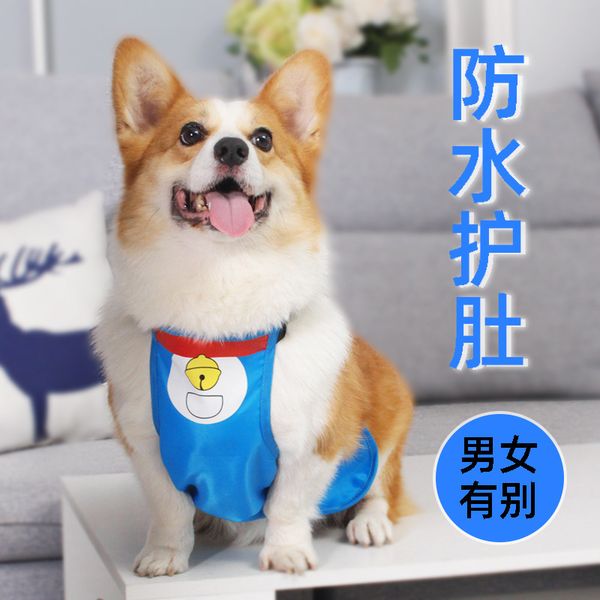dog belly pocket waterproof and dirt kerky raincoat dog summer protection cold pet small cloth
dog belly pocket waterproof and dirt kerky raincoat dog summer protection cold pet small cloth