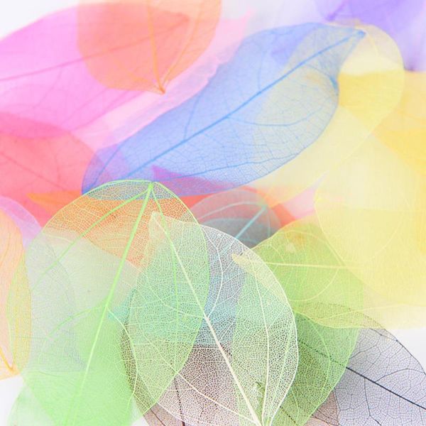 bookmark 20pcs natural magnolia skeleton leaf leaves card scrapbook bookmarks festive party supplies wedding home decoration
bookmark 20pcs natural magnolia skeleton leaf leaves card scrapbook bookmarks festive party supplies wedding home decoration
