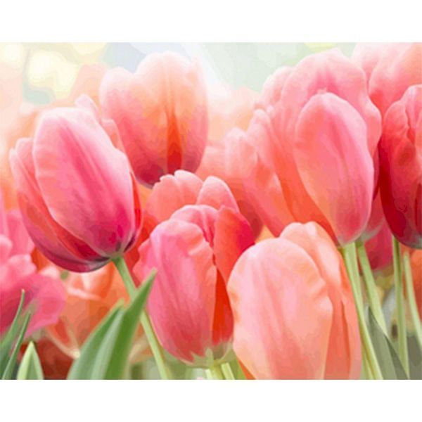paintings beautiful oil painting flower tulip by numbers paint diy modern canvas picture hand painted home decor gift
paintings beautiful oil painting flower tulip by numbers paint diy modern canvas picture hand painted home decor gift