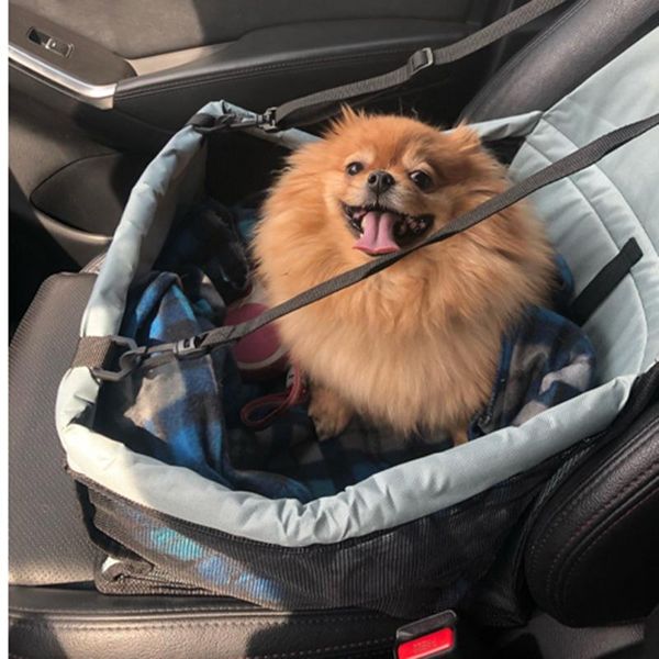dog car seat covers folding hammock protector bed front cover pet carriers mesh bags caring cat basket waterproof pets travel mat
dog car seat covers folding hammock protector bed front cover pet carriers mesh bags caring cat basket waterproof pets travel mat