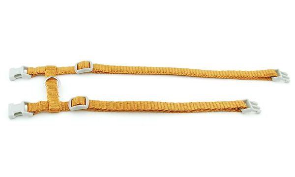cat collars & leads dog collar harness leash adjustable nylon pet traction solid halter cats products belt for size m
cat collars & leads dog collar harness leash adjustable nylon pet traction solid halter cats products belt for size m