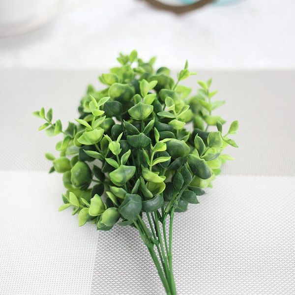 green artificial plant eucalyptus plastic money leaves grass bush home decoration flowers arrangement decorative & wreaths
green artificial plant eucalyptus plastic money leaves grass bush home decoration flowers arrangement decorative & wreaths
