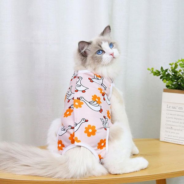 cat costumes sterilization clothes cute print dog pajamas overalls 4 legs sleeveless vest jumpsuit pet recovery suit clothing
cat costumes sterilization clothes cute print dog pajamas overalls 4 legs sleeveless vest jumpsuit pet recovery suit clothing