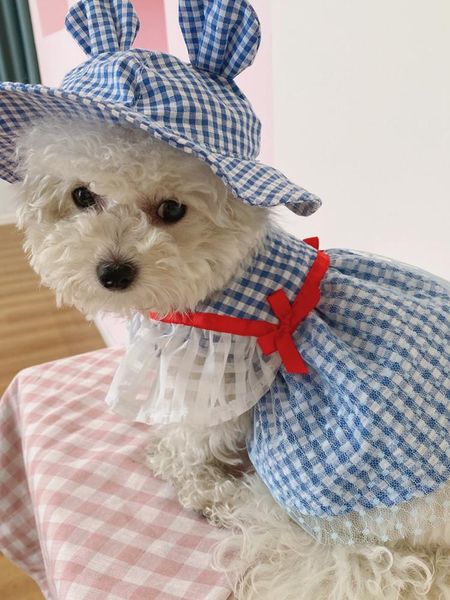cat costumes luxury pet dress summer lace dresses small pink blue puppies animal cats tutu wedding party skirt clothes for chihuahua
cat costumes luxury pet dress summer lace dresses small pink blue puppies animal cats tutu wedding party skirt clothes for chihuahua