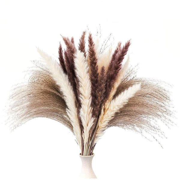 decorative flowers & wreaths 60pcs dried pampas grass decor 17 inch natural floral/ for flower arrangements wedding
decorative flowers & wreaths 60pcs dried pampas grass decor 17 inch natural floral/ for flower arrangements wedding