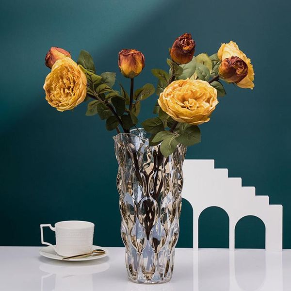 classic thick glass vase home hydroponic plant bottles living room decoration dried flower vases amber
classic thick glass vase home hydroponic plant bottles living room decoration dried flower vases amber