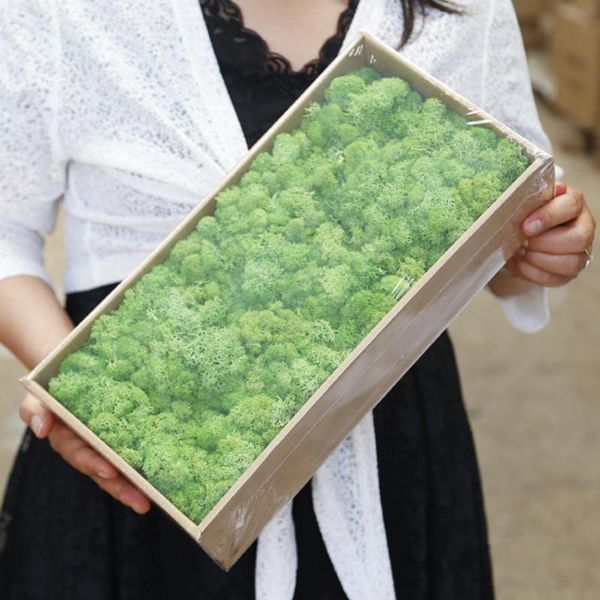 decorative flowers & wreaths green natural preserved moss lasting norwegian reindeer flower real plant for home garden wedding diy decoratio
decorative flowers & wreaths green natural preserved moss lasting norwegian reindeer flower real plant for home garden wedding diy decoratio