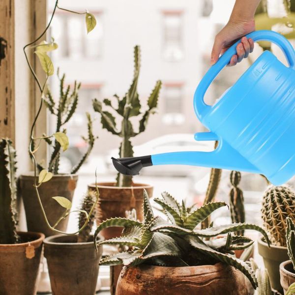 watering equipments 1pc 5l capacity can gardening plants bottle green 
watering equipments 1pc 5l capacity can gardening plants bottle green