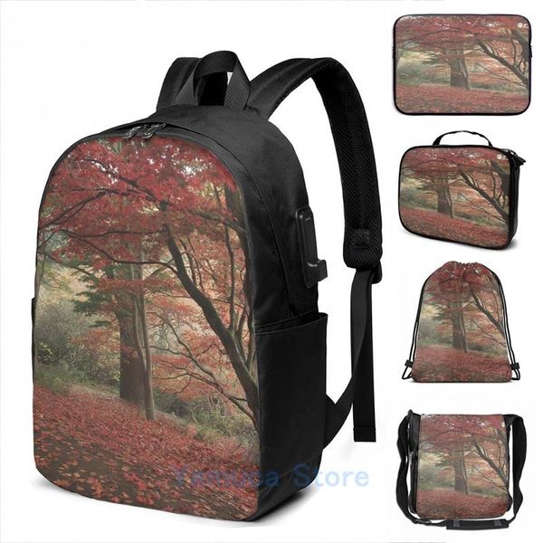 backpack funny graphic print winkworth arboretum usb charge men school bags women bag travel laptop
backpack funny graphic print winkworth arboretum usb charge men school bags women bag travel laptop