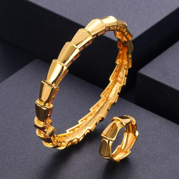 earrings & necklace luxury unique african bangle bracelet ring set for women wedding cubic zircon crystal cz dubai bridal jewelry, Silver
earrings & necklace luxury unique african bangle bracelet ring set for women wedding cubic zircon crystal cz dubai bridal jewelry, Silver