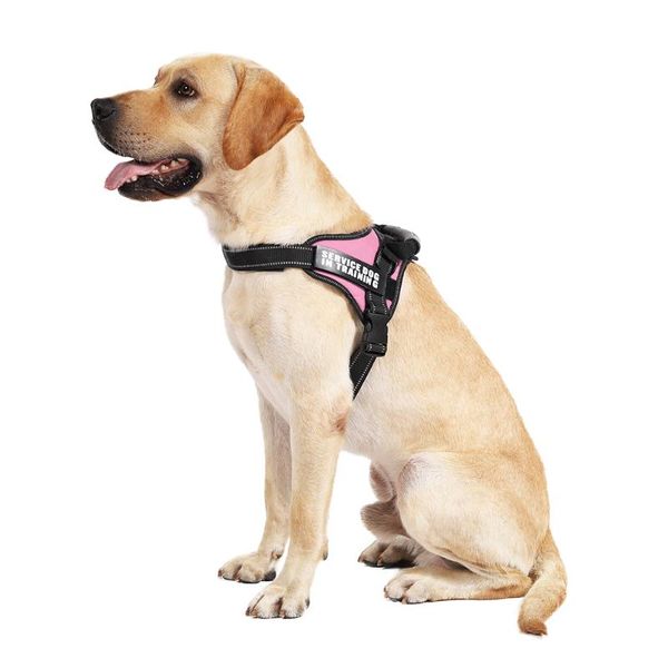 dog collars & leashes dadugo harness reflective adjustable pet for puppy medium large animals size xs/s/m/l/xl 5 colors drop
dog collars & leashes dadugo harness reflective adjustable pet for puppy medium large animals size xs/s/m/l/xl 5 colors drop