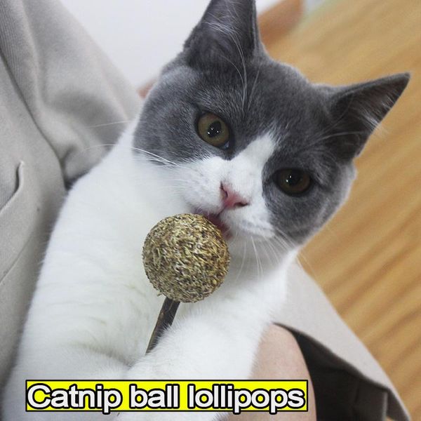 cat toys pet soft cats natural catnip ball chewing teeth cleaning treats lollipop shape toy
cat toys pet soft cats natural catnip ball chewing teeth cleaning treats lollipop shape toy