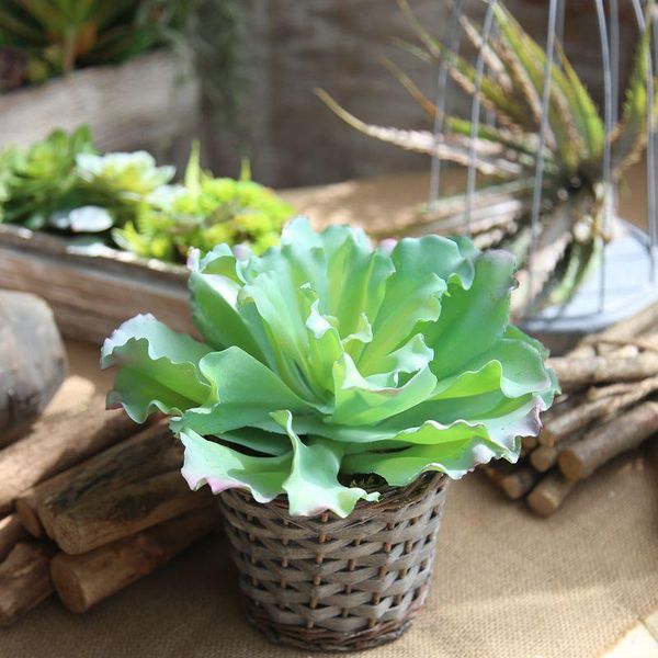 simulation queen flower succulents wedding home background wall pography green plant decorative flowers & wreaths
simulation queen flower succulents wedding home background wall pography green plant decorative flowers & wreaths