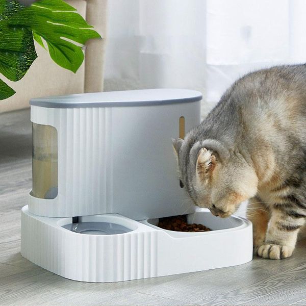 cat bowls & feeders 3l dog food bowl automatic feeder with dry storage drinking water safety material pet supplies
cat bowls & feeders 3l dog food bowl automatic feeder with dry storage drinking water safety material pet supplies