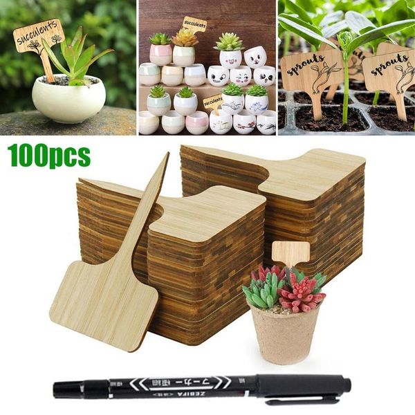 stake plant t-tags wood 100pcs bamboo blank eco-friendly flower planters & pots
stake plant t-tags wood 100pcs bamboo blank eco-friendly flower planters & pots