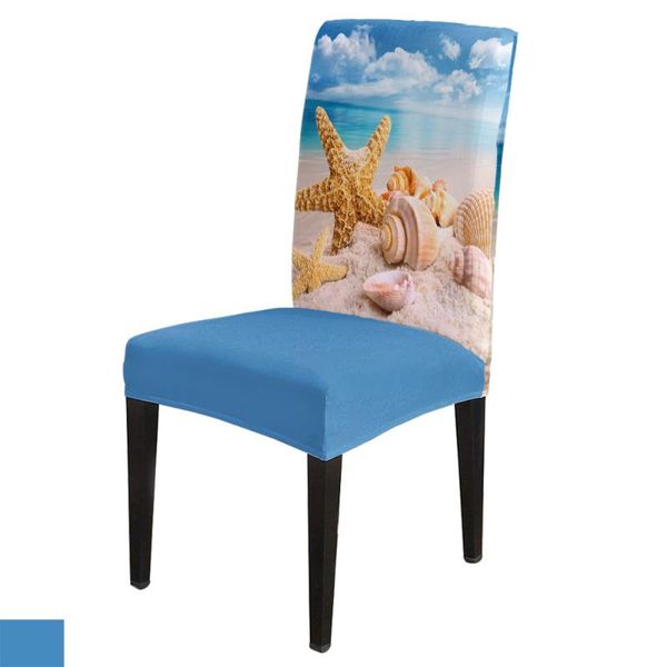 chair covers beach sea starfish shells blue cover for dining room table chairs kitchen tablecloth home decor
chair covers beach sea starfish shells blue cover for dining room table chairs kitchen tablecloth home decor