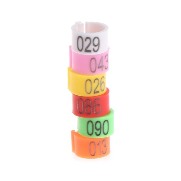 100 pcs 8 mm identification ring postpigeon training delivers been number bird bands t8wb
100 pcs 8 mm identification ring postpigeon training delivers been number bird bands t8wb