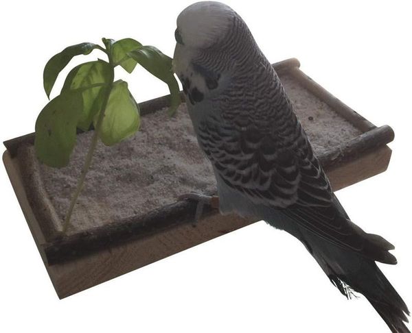 small animal supplies wooden pet toys bird parrot bite toy platform stand rack food box hamster branch perches for cage
small animal supplies wooden pet toys bird parrot bite toy platform stand rack food box hamster branch perches for cage