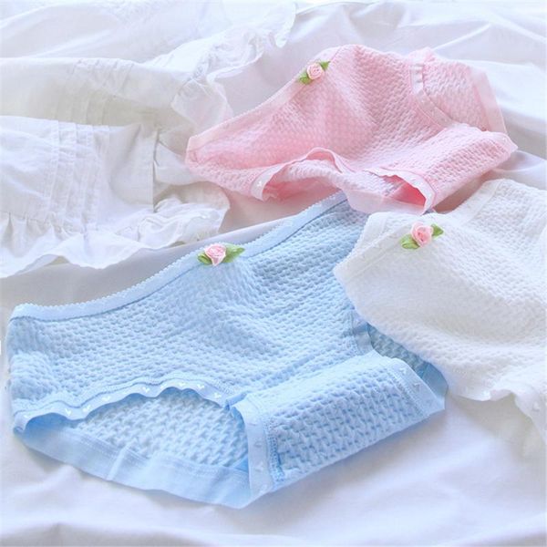 women's panties women underwear young girl's under wear short briefs boxers cotton yt-9040-12p, Black;pink
women's panties women underwear young girl's under wear short briefs boxers cotton yt-9040-12p, Black;pink