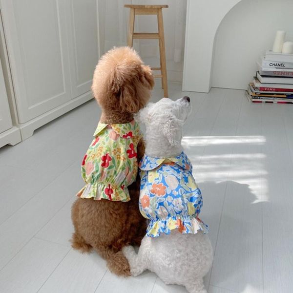 dog apparel short dress korea style pet clothes clothing cat skirt yorkshire yorkies pomeranian poodle maltese schnauzer costume
dog apparel short dress korea style pet clothes clothing cat skirt yorkshire yorkies pomeranian poodle maltese schnauzer costume