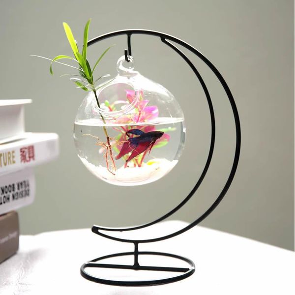 hanging simple mini deskfishbowl transparent glass round creative home desk living room aquarium decoration decorations
hanging simple mini deskfishbowl transparent glass round creative home desk living room aquarium decoration decorations