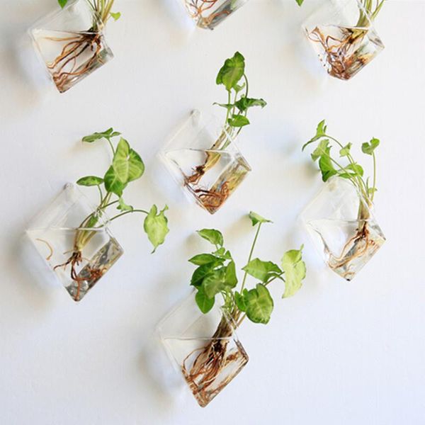 vases hanging flower pot glass ball vase terrarium wall fish tank aquarium container home decor
vases hanging flower pot glass ball vase terrarium wall fish tank aquarium container home decor