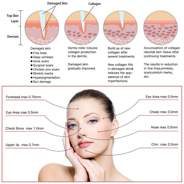 20pcs dr pen needles cartridges microneedling machine bayonet derma pen for m5 m7 n2 e30 rechangeable disposable stamp needles p
20pcs dr pen needles cartridges microneedling machine bayonet derma pen for m5 m7 n2 e30 rechangeable disposable stamp needles p