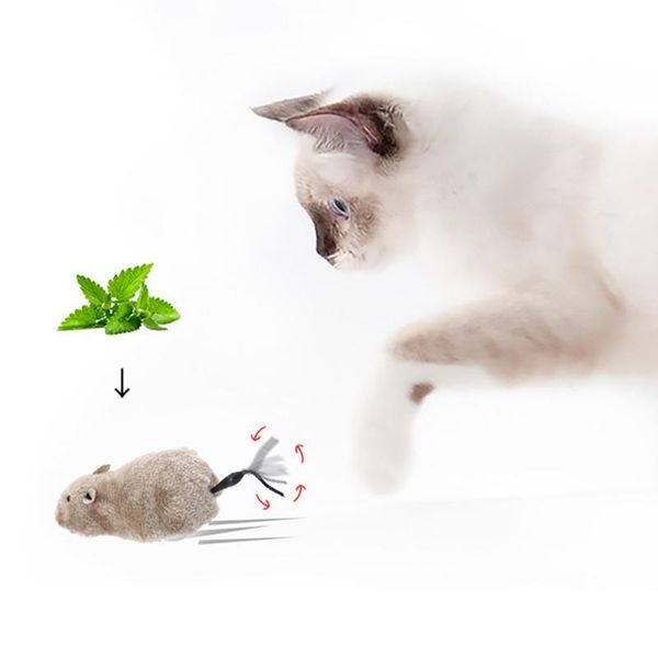 cat toys funny pet plush mouse kitten clockwork spring power rat toy pets playing interaction accessories
cat toys funny pet plush mouse kitten clockwork spring power rat toy pets playing interaction accessories