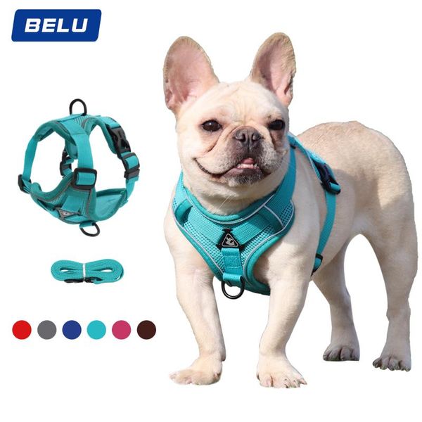 dog collars & leashes cat traction pet chest harness spring and summer breathable mesh
dog collars & leashes cat traction pet chest harness spring and summer breathable mesh
