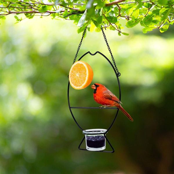 garden decorations metal bird feeder hanging fruit oriole hummingbird with removable holder for patio outdoor trunk
garden decorations metal bird feeder hanging fruit oriole hummingbird with removable holder for patio outdoor trunk