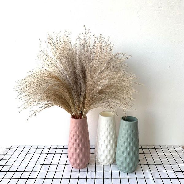 decorative flowers & wreaths 20pcs pampas grass reeds dried natural phragmites colored plastic vase valentine's day eucalyptus gypsophi
decorative flowers & wreaths 20pcs pampas grass reeds dried natural phragmites colored plastic vase valentine's day eucalyptus gypsophi