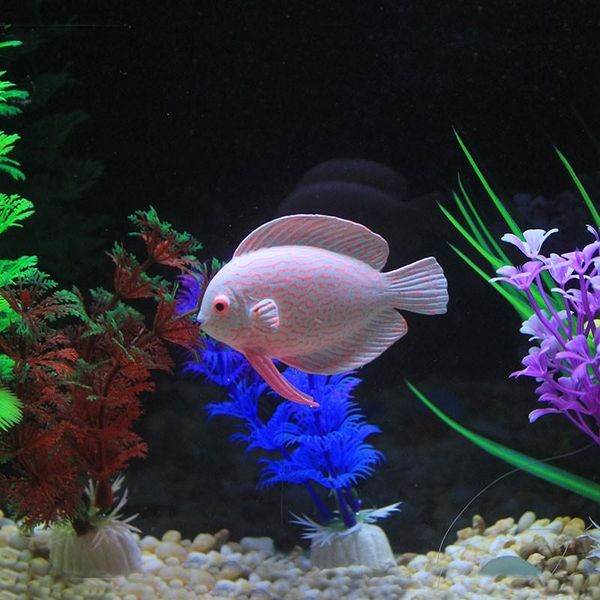 decorations silicone aquarium artificial glowing tropical fish decoration tank luminous fairy peacock ornament
decorations silicone aquarium artificial glowing tropical fish decoration tank luminous fairy peacock ornament