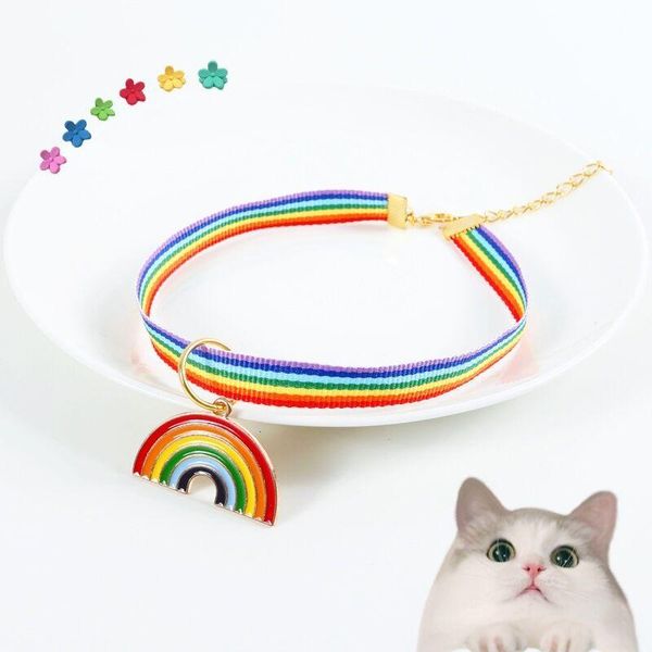 cat collars & leads collar pet rainbow pendant and adjustable dog products pitbull arnes gato
cat collars & leads collar pet rainbow pendant and adjustable dog products pitbull arnes gato