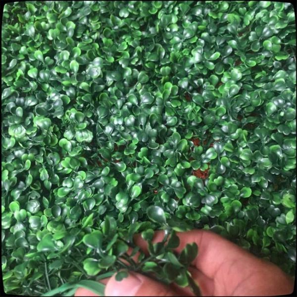 artificial turf plastic boxwood grass mat wall decor 60x40cm for garden decoration decorative flowers & wreaths
artificial turf plastic boxwood grass mat wall decor 60x40cm for garden decoration decorative flowers & wreaths