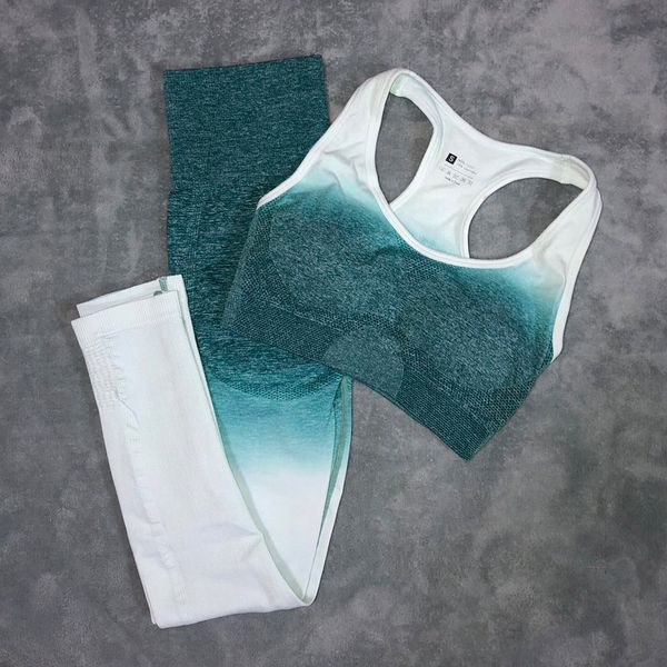 sport outfit for women gym yoga set fitness clothing ombre seamless sport leggings+sports bra 2 piece running sport wear, White;red
sport outfit for women gym yoga set fitness clothing ombre seamless sport leggings+sports bra 2 piece running sport wear, White;red