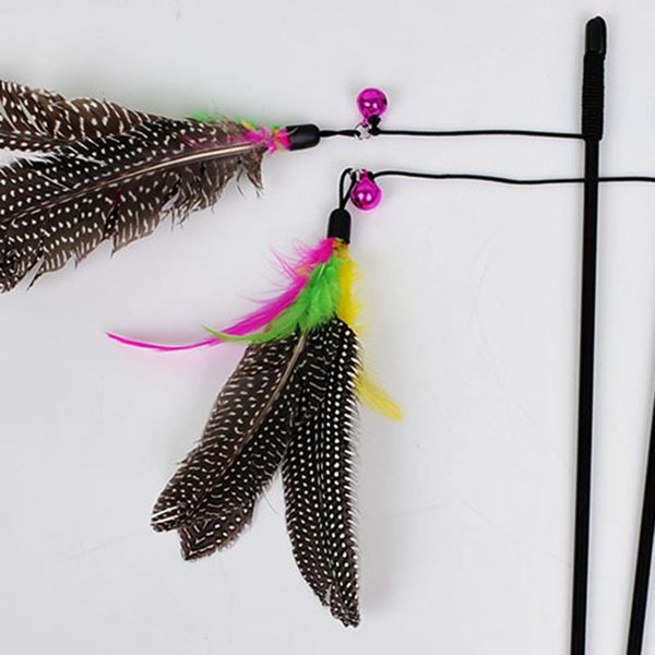cat toys random color make a stick feather black coloured pole like birds with small bell natural 1pcs
cat toys random color make a stick feather black coloured pole like birds with small bell natural 1pcs