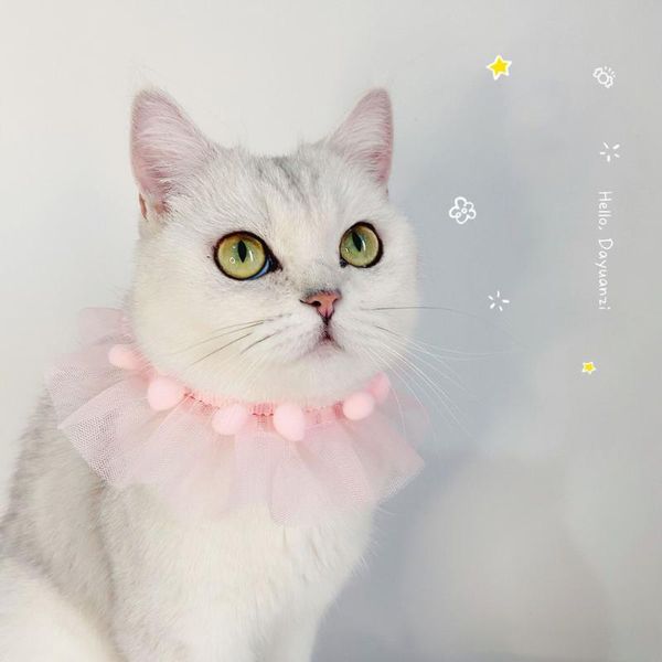 cat collars & leads princess lace collar for dog bows necklace soft pet bandana bibs cute scarf kitten puppy accessories gifts
cat collars & leads princess lace collar for dog bows necklace soft pet bandana bibs cute scarf kitten puppy accessories gifts