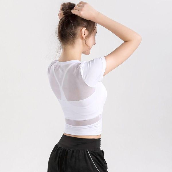 yoga outfit crop women exposed navel stretch training running quick-drying t-shirt tights mesh short-sleeved gym sports clothing
yoga outfit crop women exposed navel stretch training running quick-drying t-shirt tights mesh short-sleeved gym sports clothing