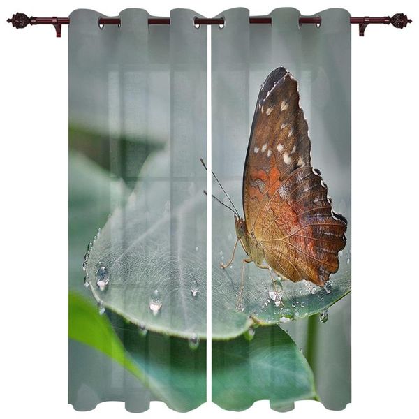curtain & drapes butterfly leaf dew valance curtains half blackout for living room study bedroom outdoor large windows custom cotton linen
curtain & drapes butterfly leaf dew valance curtains half blackout for living room study bedroom outdoor large windows custom cotton linen