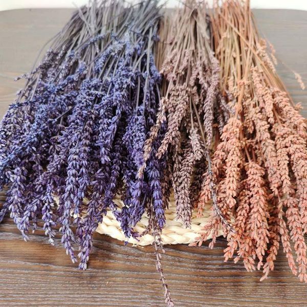 decorative flowers & wreaths 50g/about 70pcs,40cm real natural dried flowers,preserved lavender bouquet that some flower grain will fall off
decorative flowers & wreaths 50g/about 70pcs,40cm real natural dried flowers,preserved lavender bouquet that some flower grain will fall off