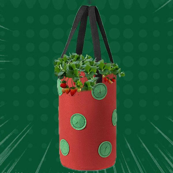 planters & pots multi-port strawberry bag hanging planting 12 hole 3 gallon non-woven plant flower bags
planters & pots multi-port strawberry bag hanging planting 12 hole 3 gallon non-woven plant flower bags