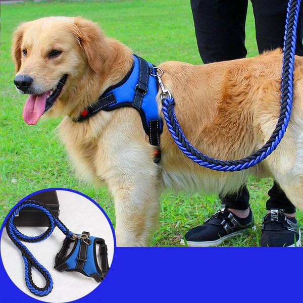 dog collars & leashes easy to use adjustable pet puppy large harness for small medium dogs animals walking hand strap supplies
dog collars & leashes easy to use adjustable pet puppy large harness for small medium dogs animals walking hand strap supplies