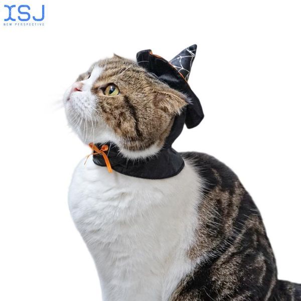 cat costumes pet supplies halloween christmas gift transformation dress wizard hat bib holiday
cat costumes pet supplies halloween christmas gift transformation dress wizard hat bib holiday