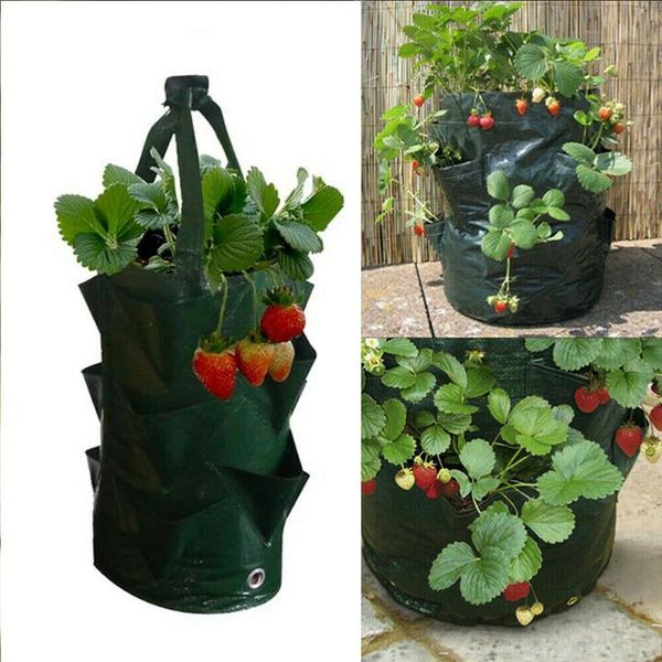 planters & pots 3 gallon hole garden planting grow bag strawberry vertical flower pouch root breathable vegetable round reusable pot planter
planters & pots 3 gallon hole garden planting grow bag strawberry vertical flower pouch root breathable vegetable round reusable pot planter