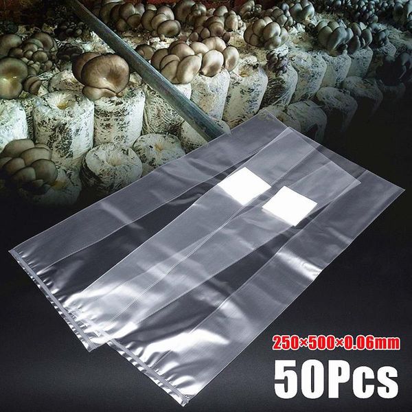 planters & pots 50pcs grow bag pvc mushroom root spawn farm substrate high temp pre sealable garden supplies bags 250x500x0.06mm
planters & pots 50pcs grow bag pvc mushroom root spawn farm substrate high temp pre sealable garden supplies bags 250x500x0.06mm